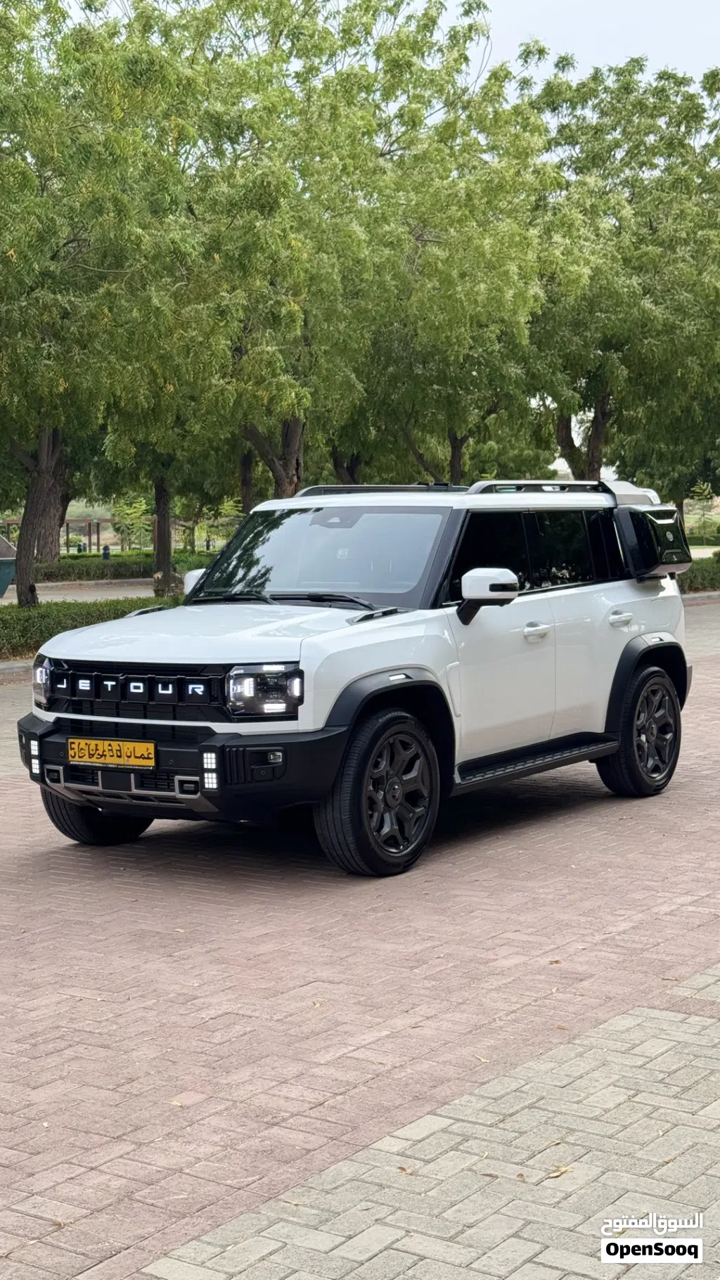 2025 Jetour T2