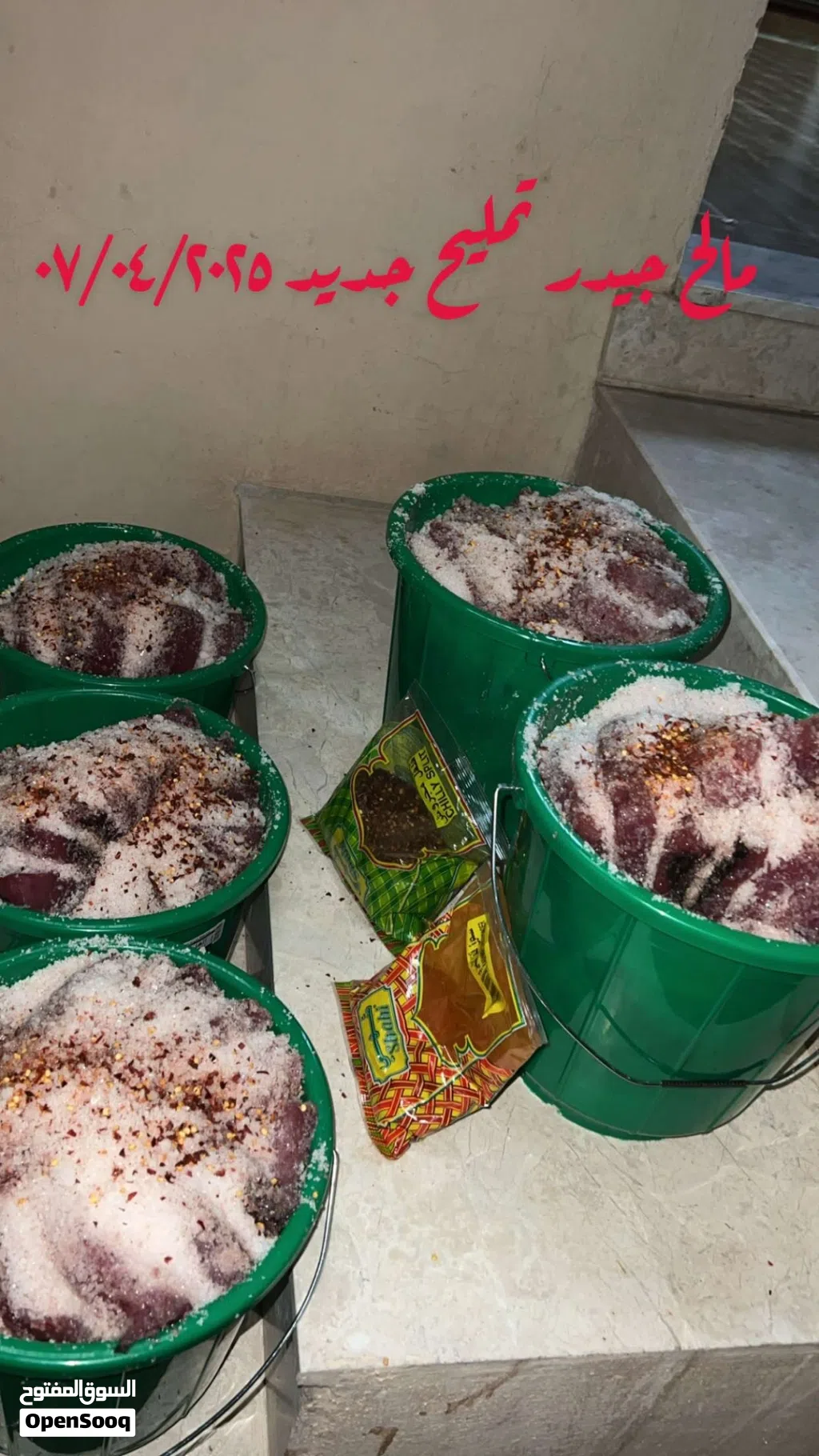 مالح جيدر طازج