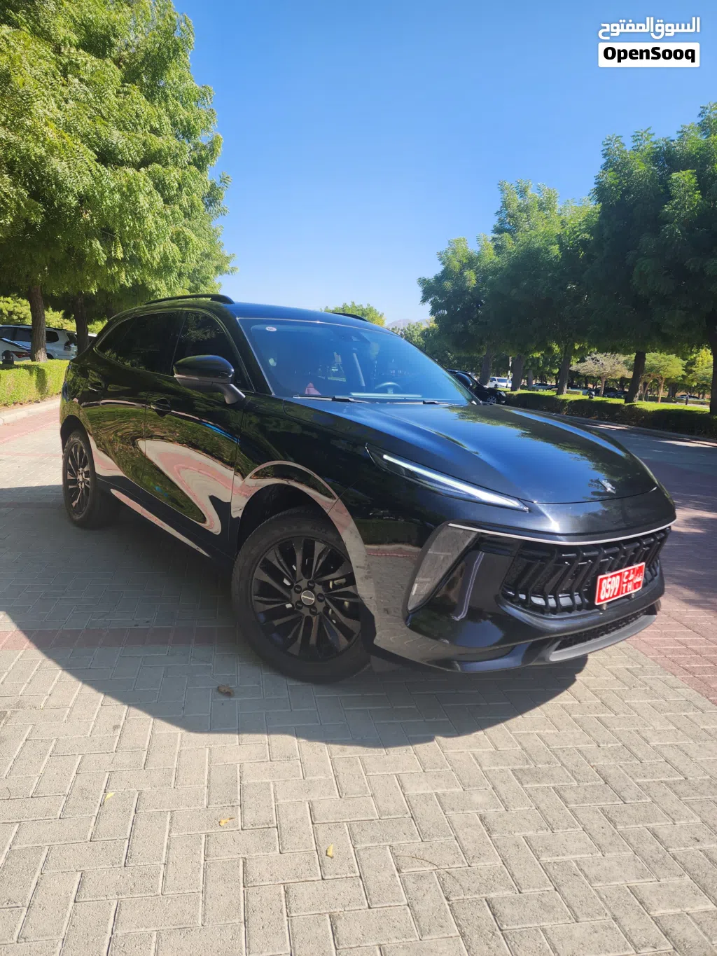 2026, Forthing, T5