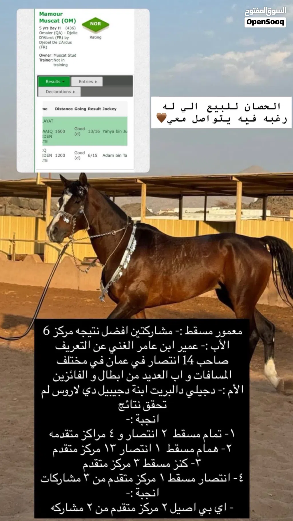 مهر عربي للبيع