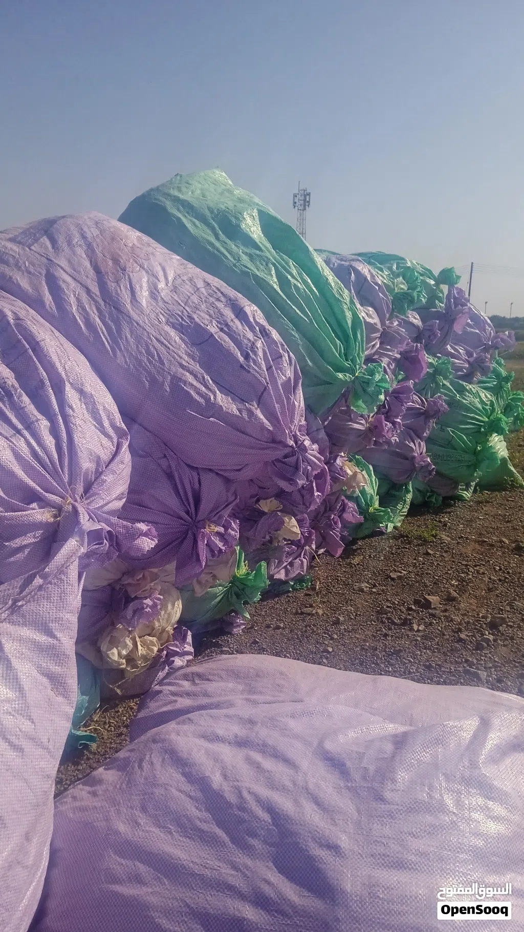 سماد دواجن