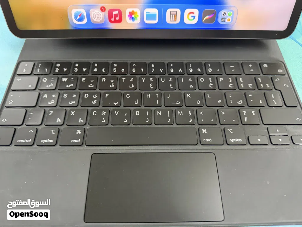 Apple iPad Pro 13 256 GB in Muscat