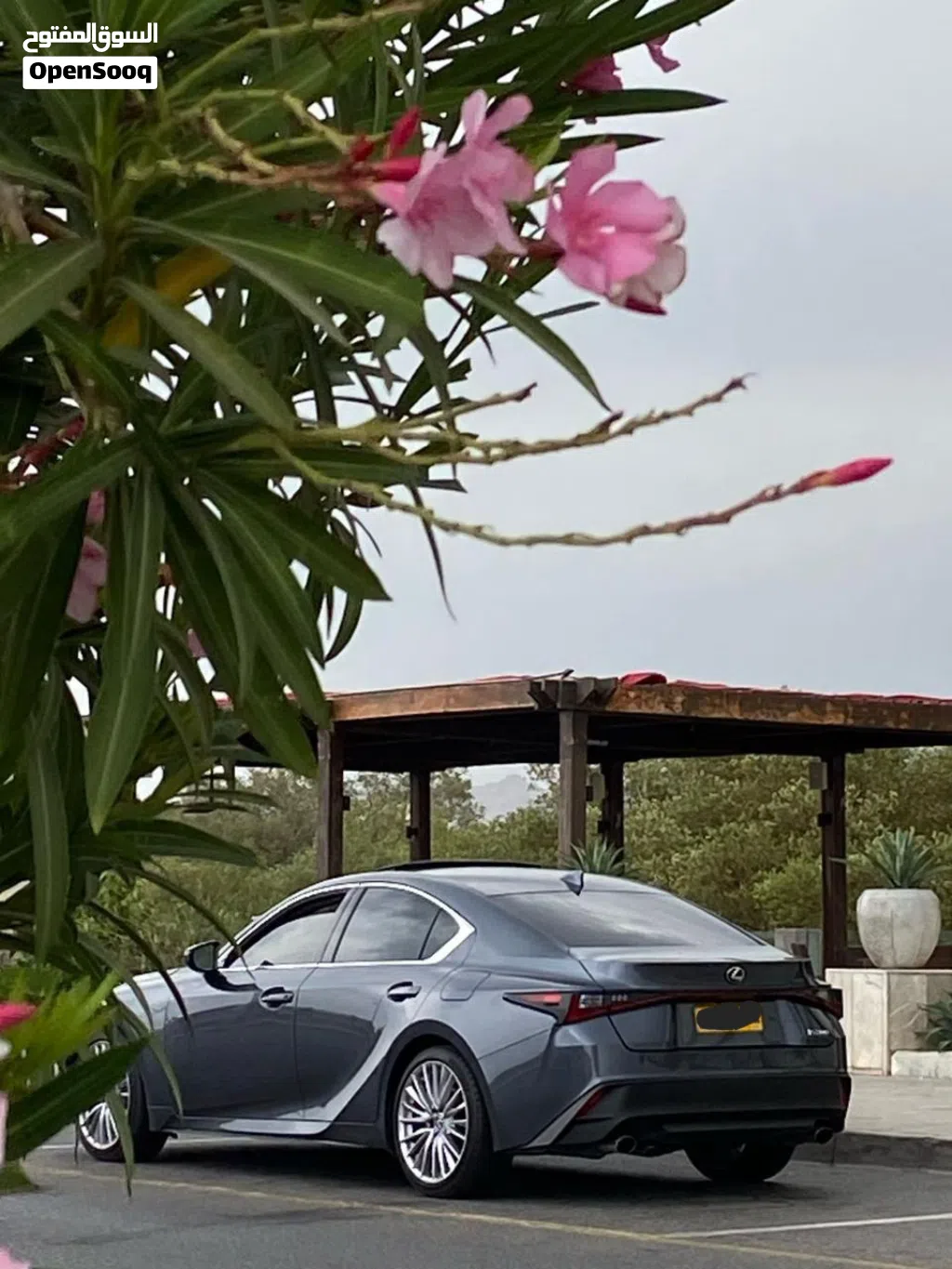 2023 Lexus IS IS 300