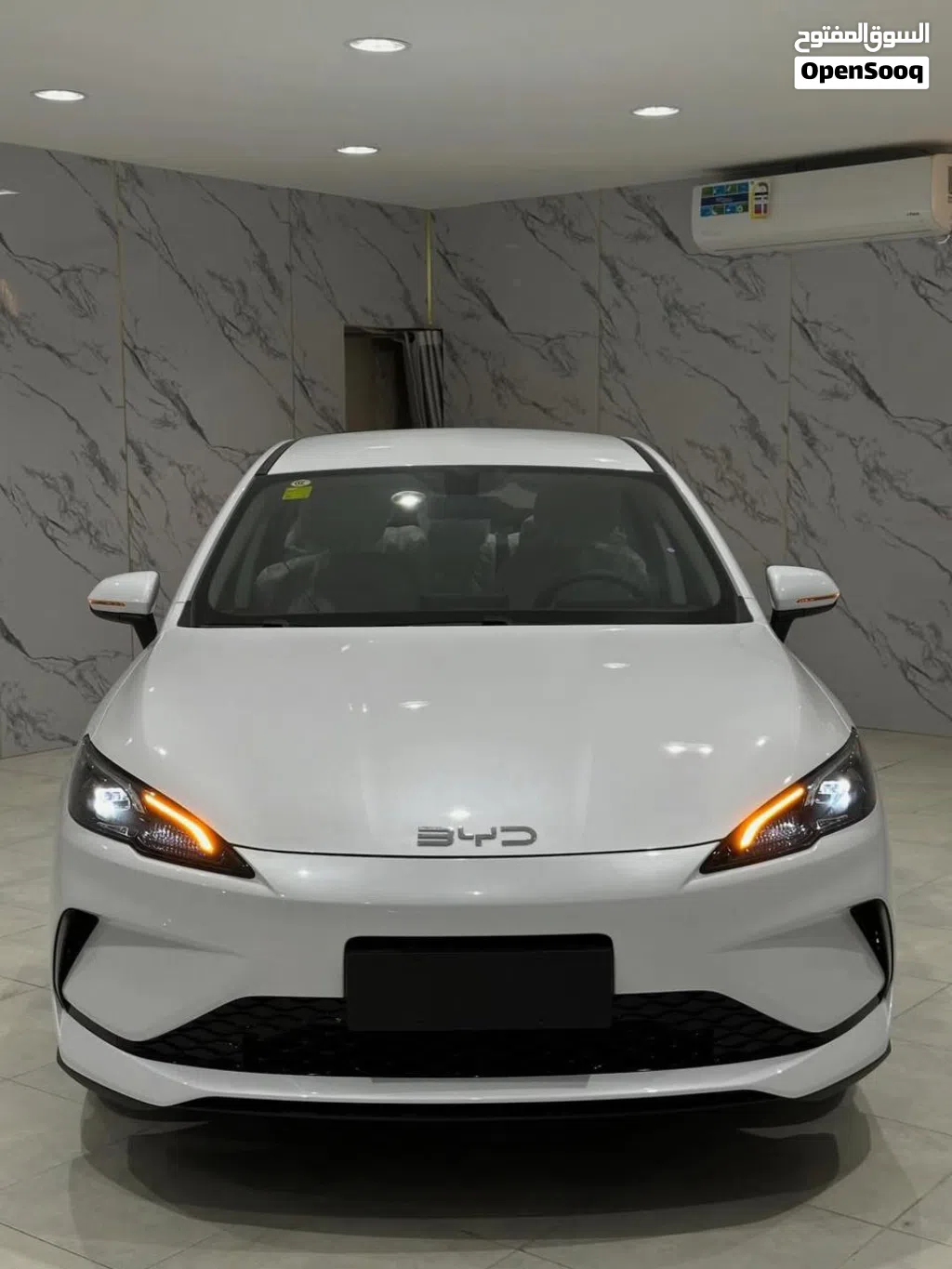 2025 BYD Other